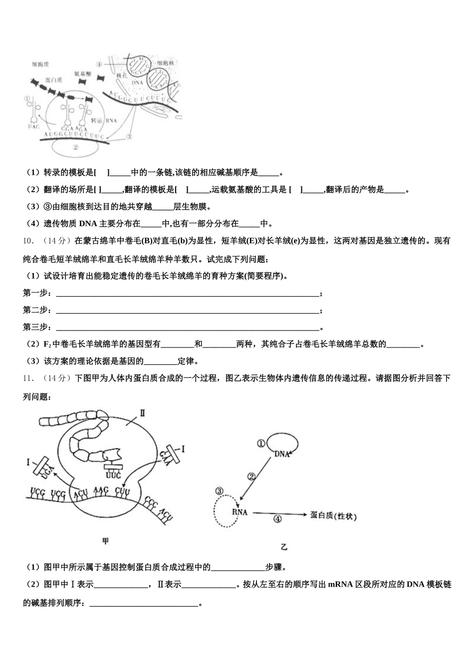 江西省宜春中学2025年高一下生物期末经典模拟试题含解析_第3页