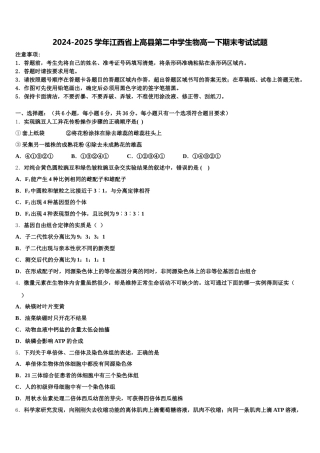 2024-2025学年江西省上高县第二中学生物高一下期末考试试题含解析