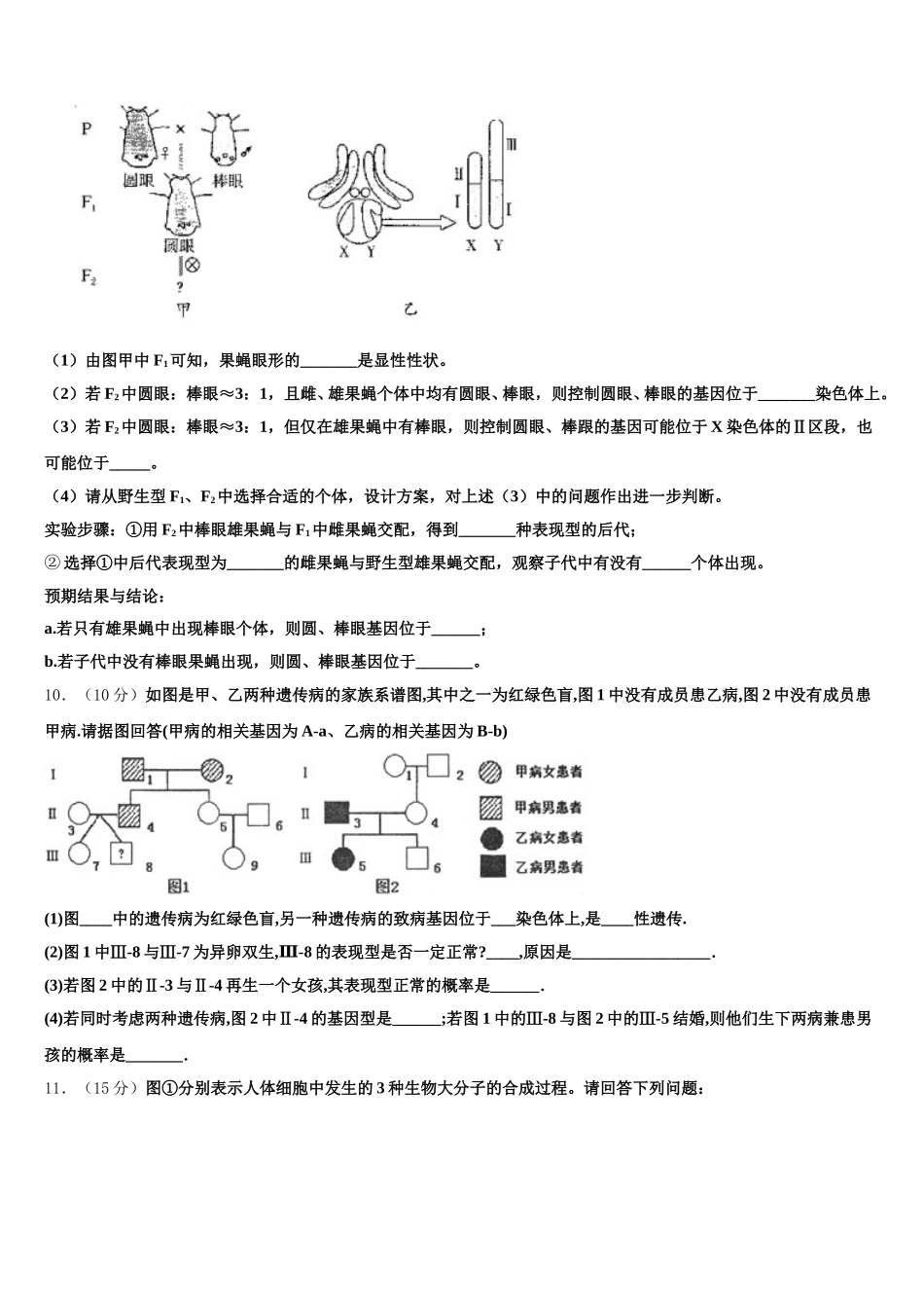 江西省吉安县第三中学、安福二中2024-2025学年高一下生物期末达标检测模拟试题含解析_第3页