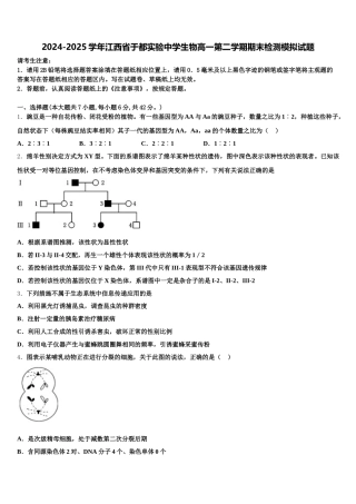 2024-2025学年江西省于都实验中学生物高一第二学期期末检测模拟试题含解析