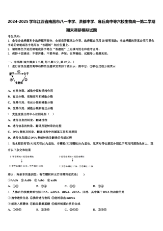 2024-2025学年江西省南昌市八一中学、洪都中学、麻丘高中等六校生物高一第二学期期末调研模拟试题含解析