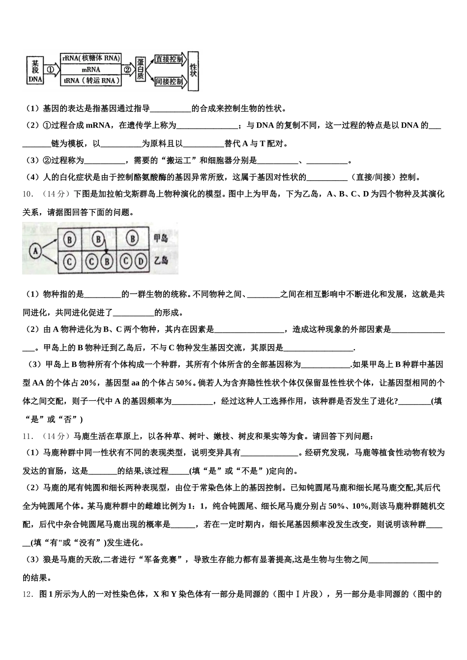 江西省南昌市进贤县一中2024-2025学年高一生物第二学期期末达标检测模拟试题含解析_第3页