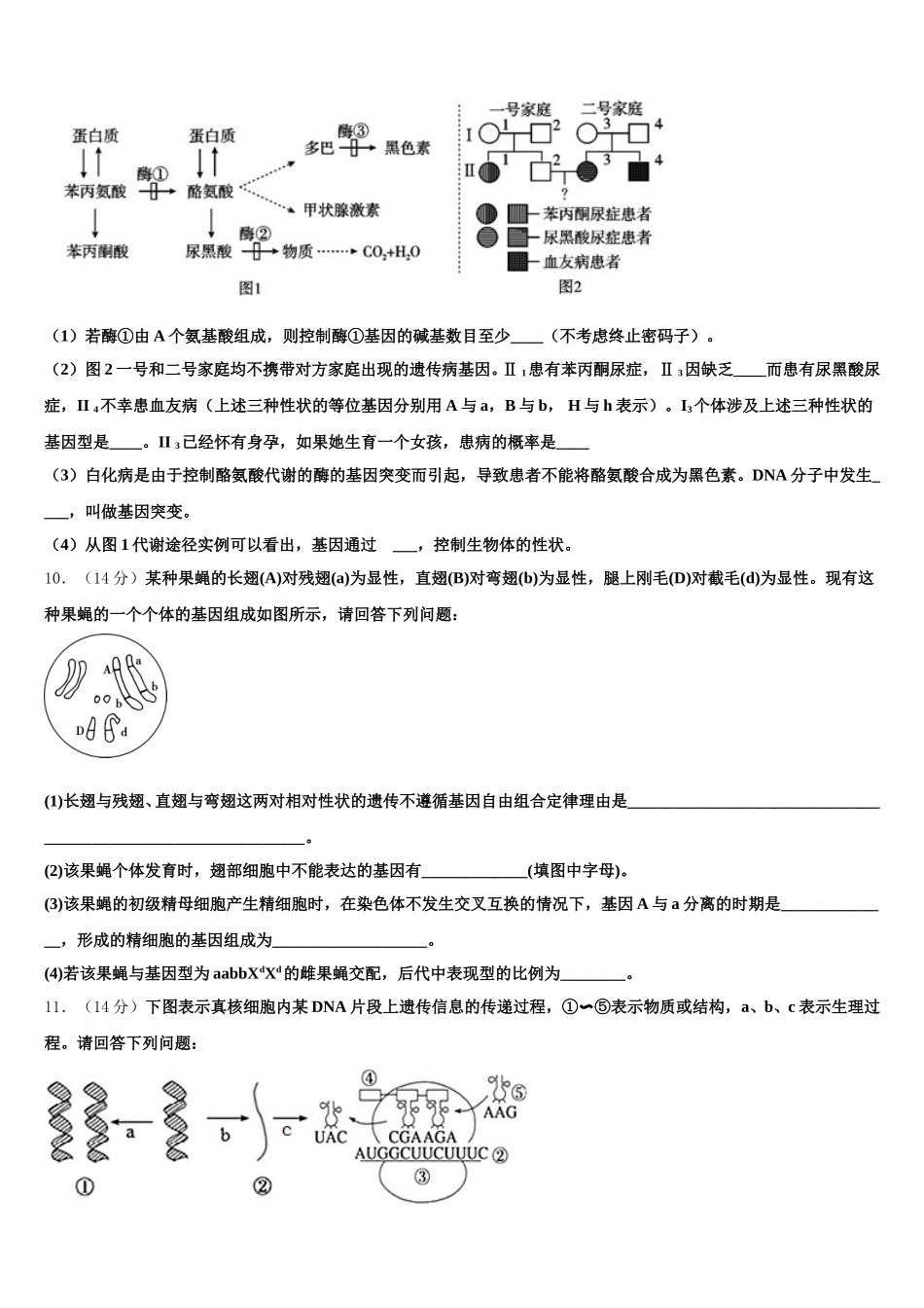 2025届江西省奉新一中高一生物第二学期期末学业质量监测试题含解析_第3页