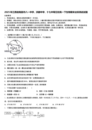 2025年江西省南昌市八一中学、洪都中学、十七中等五校高一下生物期末达标测试试题含解析