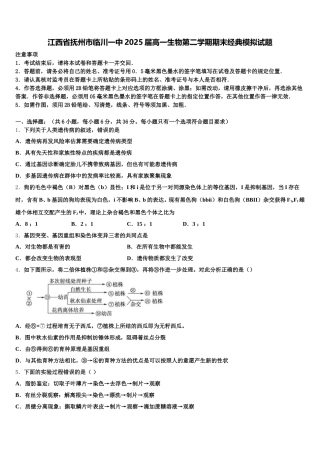 江西省抚州市临川一中2025届高一生物第二学期期末经典模拟试题含解析