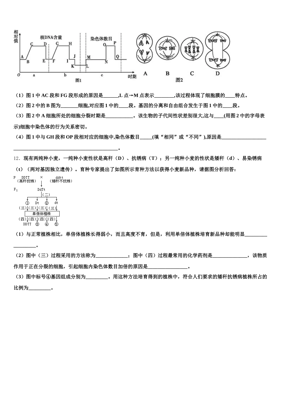 江西省南昌市高安中学2024-2025学年高一生物第二学期期末统考试题含解析_第3页
