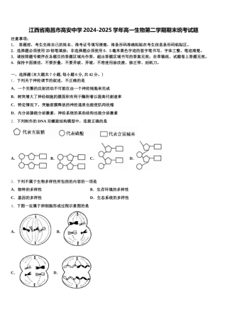 江西省南昌市高安中学2024-2025学年高一生物第二学期期末统考试题含解析