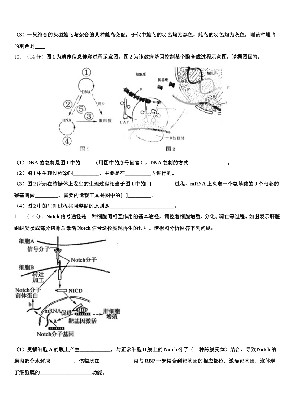 2025年江西省南昌市安义中学生物高一下期末质量跟踪监视模拟试题含解析_第3页
