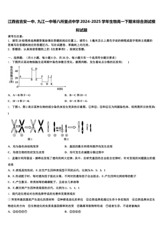 江西省吉安一中、九江一中等八所重点中学2024-2025学年生物高一下期末综合测试模拟试题含解析