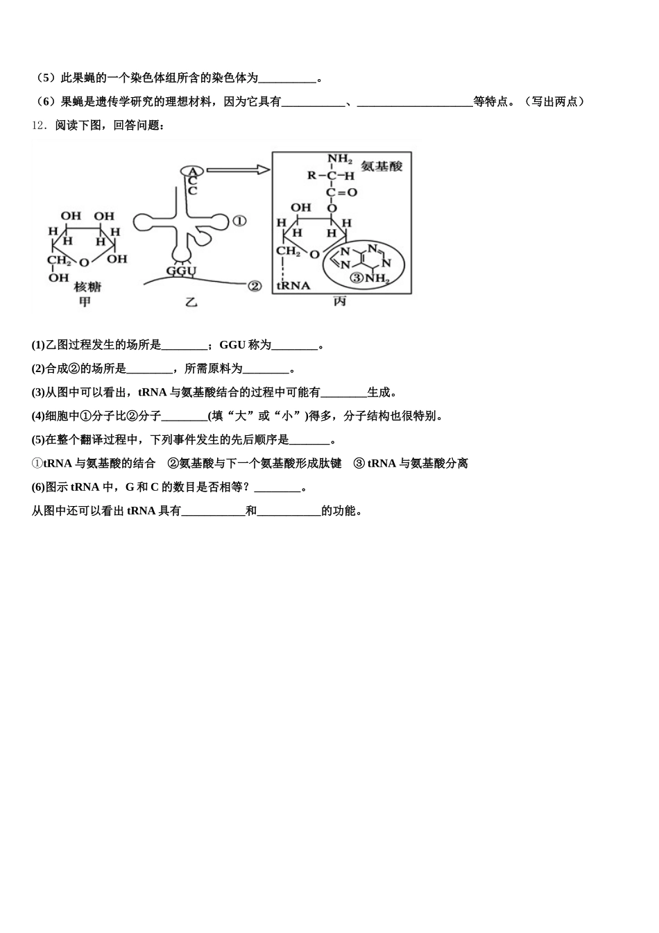 江西省吉安市永新二中2025年高一生物第二学期期末学业质量监测模拟试题含解析_第3页