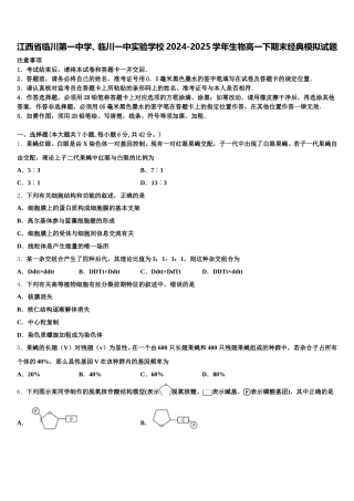 江西省临川第一中学、临川一中实验学校2024-2025学年生物高一下期末经典模拟试题含解析