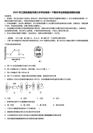 2025年江西省南昌市第三中学生物高一下期末学业质量监测模拟试题含解析
