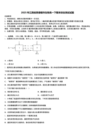 2025年江西省景德镇市生物高一下期末综合测试试题含解析