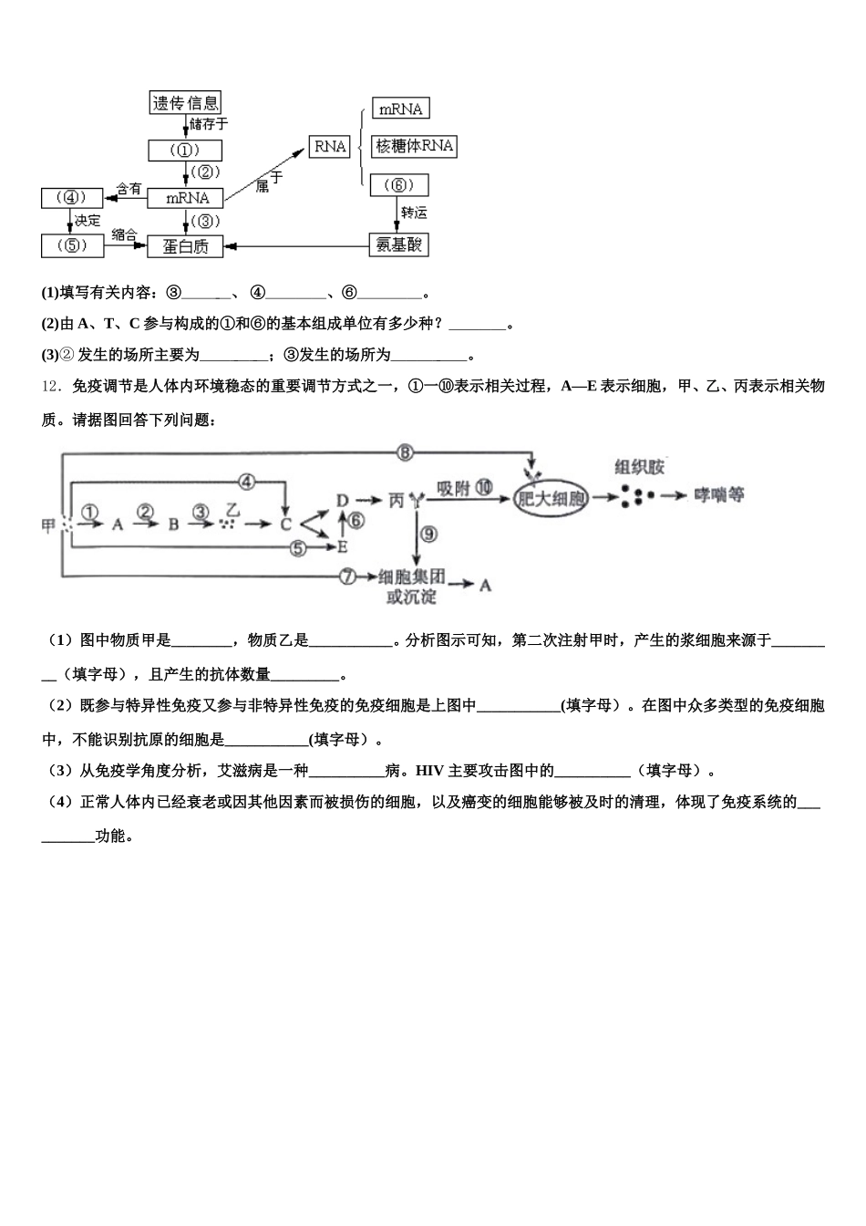 江西省会昌中学2025届高一下生物期末复习检测模拟试题含解析_第3页