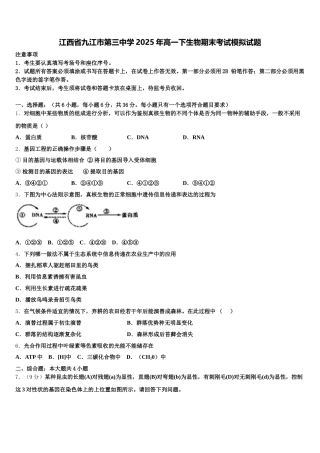 江西省九江市第三中学2025年高一下生物期末考试模拟试题含解析