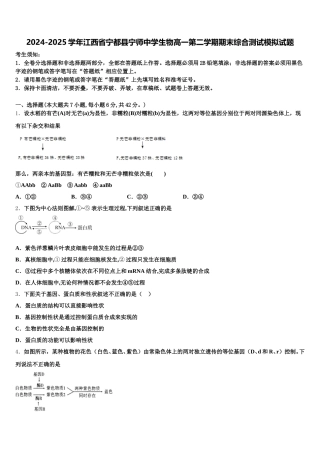 2024-2025学年江西省宁都县宁师中学生物高一第二学期期末综合测试模拟试题含解析