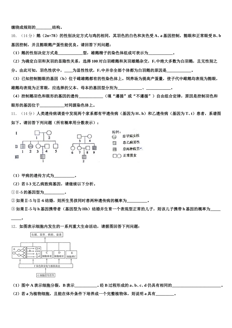 2025年江西省赣州市赣源中学生物高一第二学期期末教学质量检测试题含解析_第3页