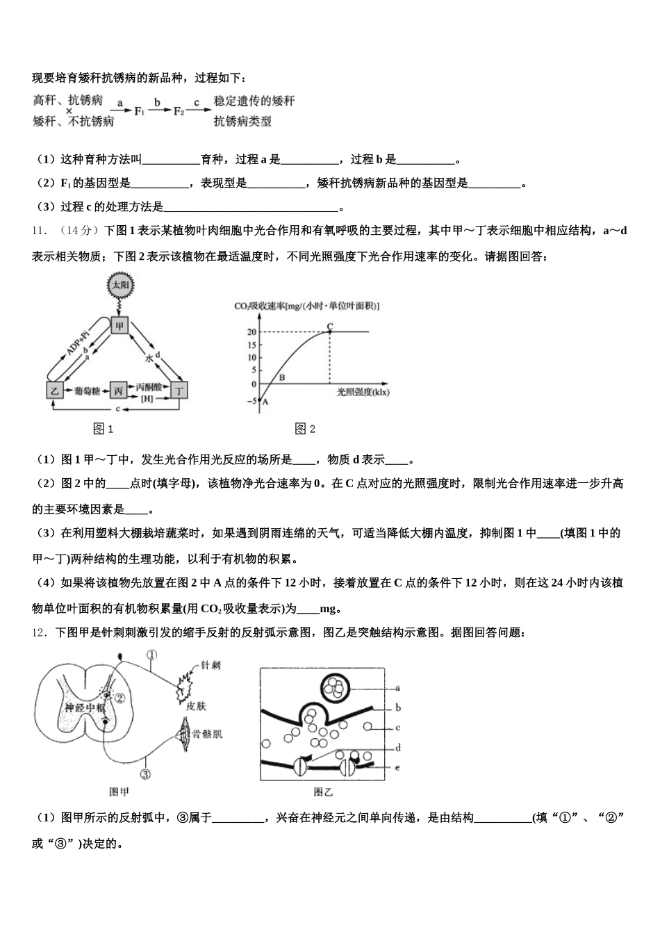 江西省赣州市南康中学、平川中学、信丰中学2025届生物高一下期末联考模拟试题含解析_第3页