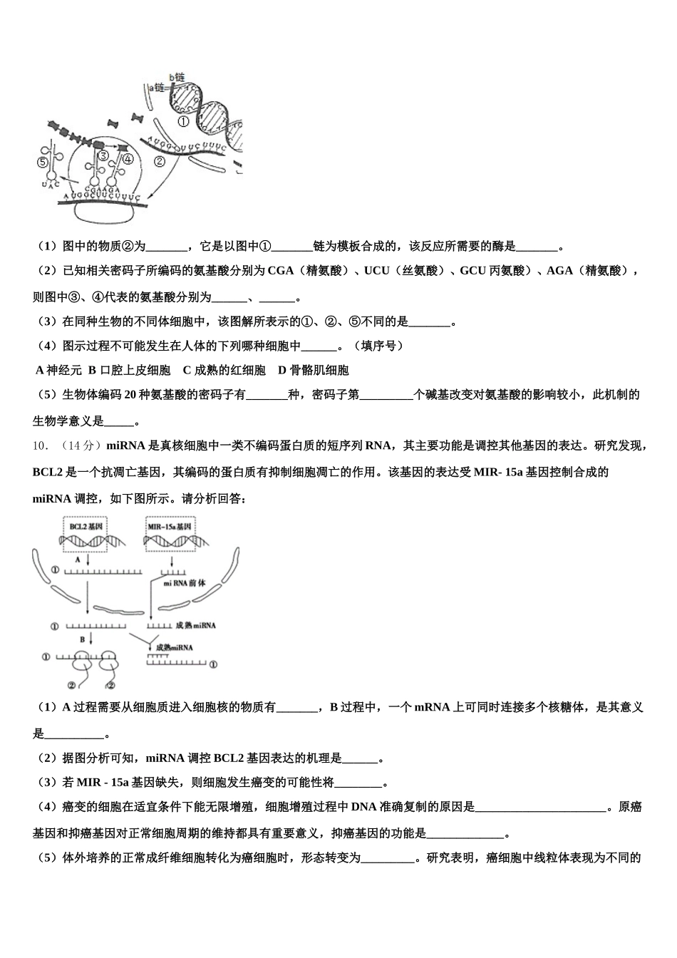 2025年江西省赣州市宁师中学高一下生物期末调研模拟试题含解析_第3页