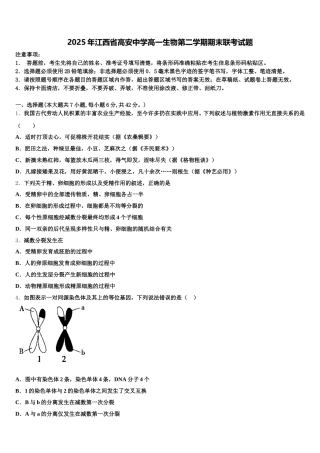 2025年江西省高安中学高一生物第二学期期末联考试题含解析