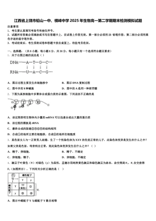 江西省上饶市铅山一中、横峰中学2025年生物高一第二学期期末检测模拟试题含解析