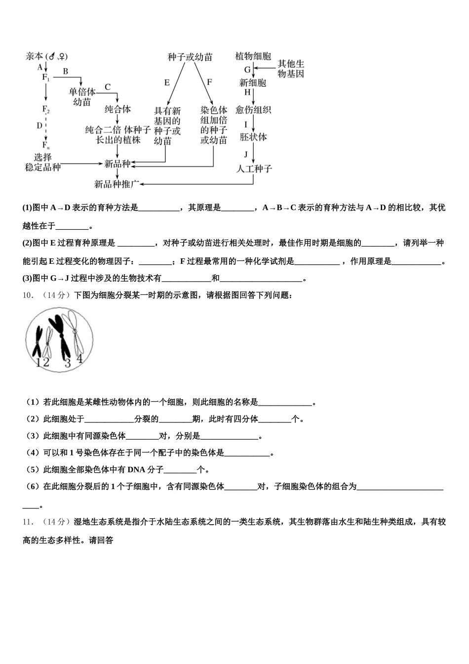 2024-2025学年江西名校学术联盟高一生物第二学期期末教学质量检测试题含解析_第3页