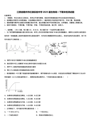江西省赣州市红旗实验中学2025届生物高一下期末检测试题含解析