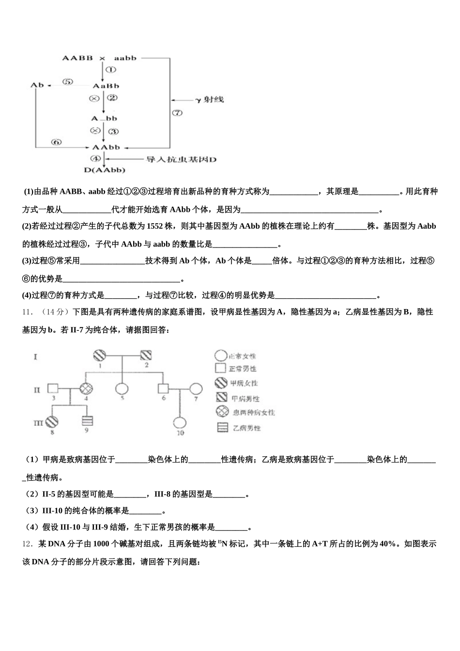 2025年江西省南昌市新建二中生物高一下期末学业水平测试试题含解析_第3页