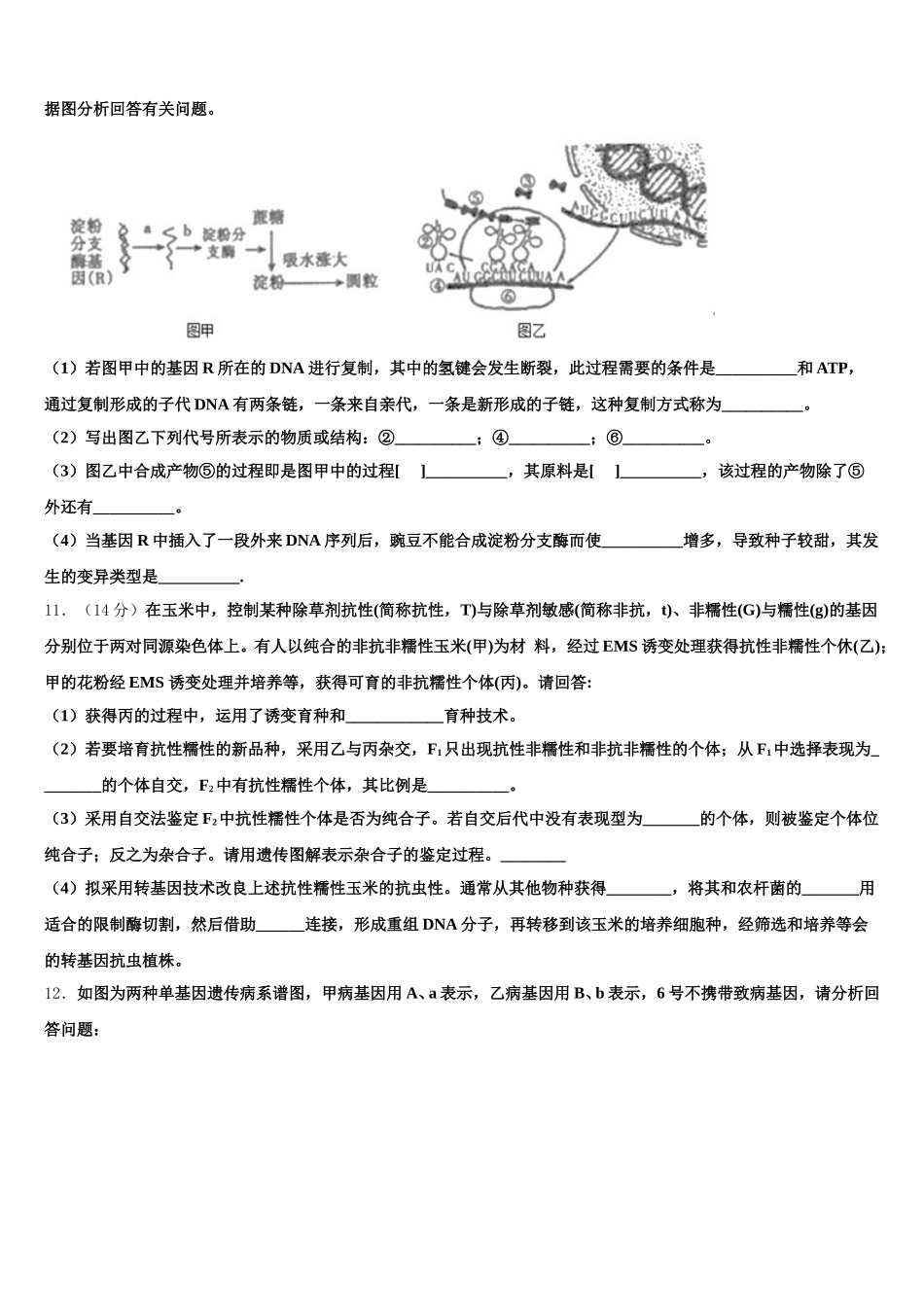 江西省宁都县宁师中学2025年高一下生物期末统考模拟试题含解析_第3页