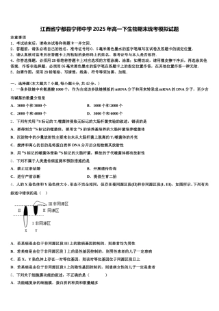 江西省宁都县宁师中学2025年高一下生物期末统考模拟试题含解析