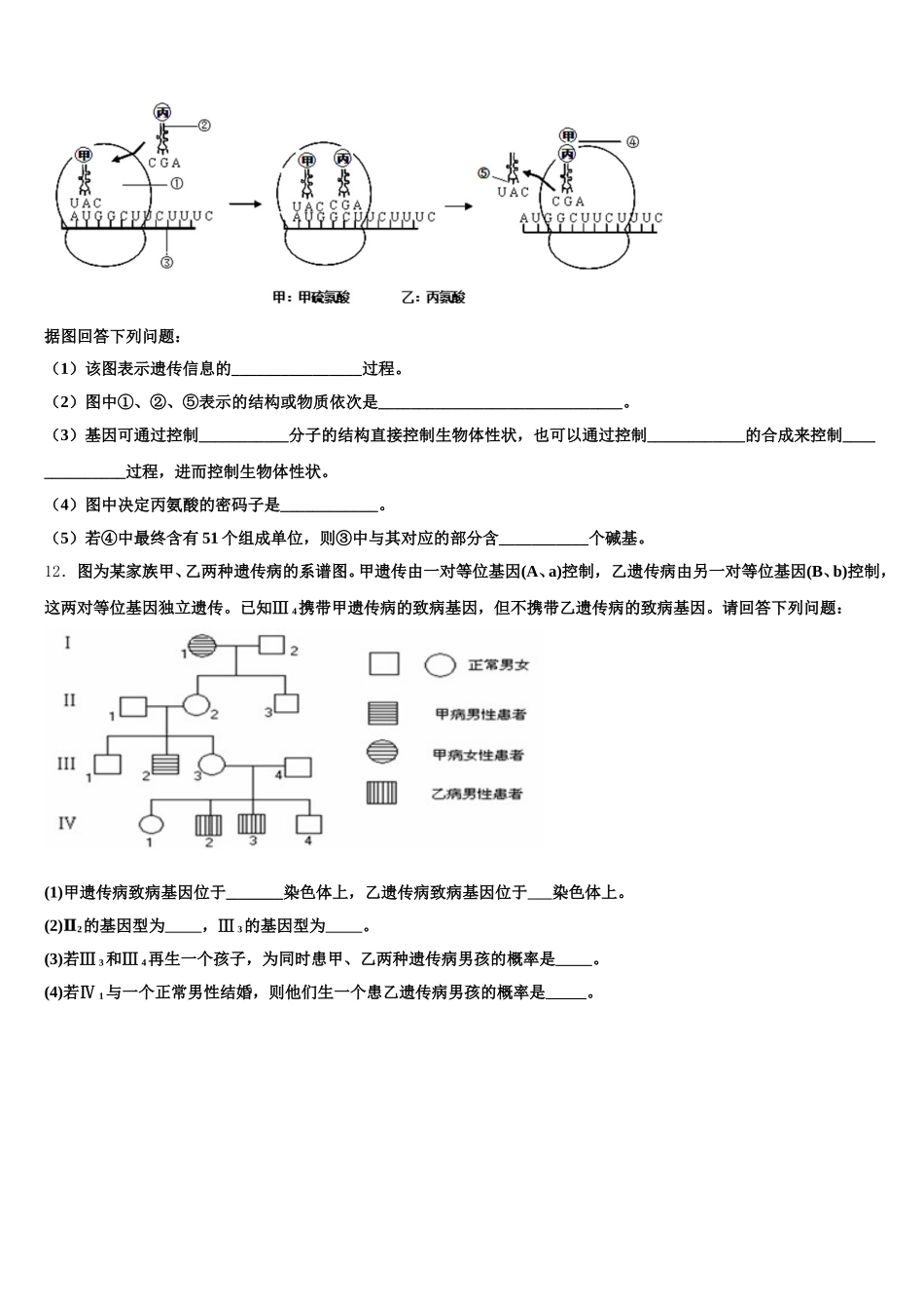 2025年江西省赣州市文清外国语学校生物高一下期末综合测试试题含解析_第3页