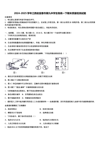 2024-2025学年江西省宜春市第九中学生物高一下期末质量检测试题含解析