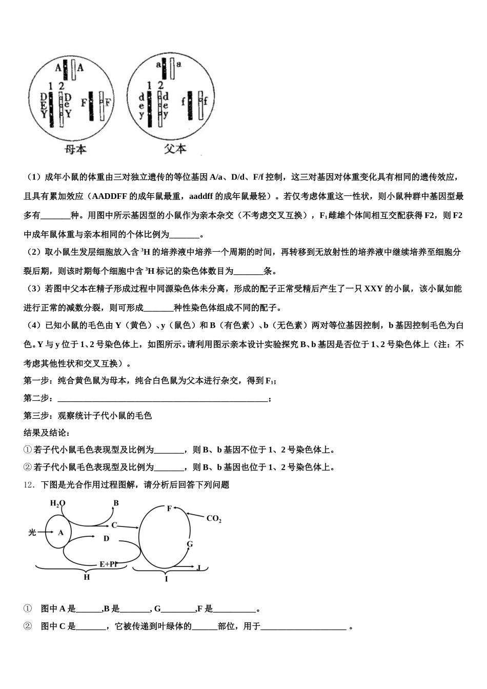 江西省景德镇市2025届高一生物第二学期期末质量跟踪监视试题含解析_第3页