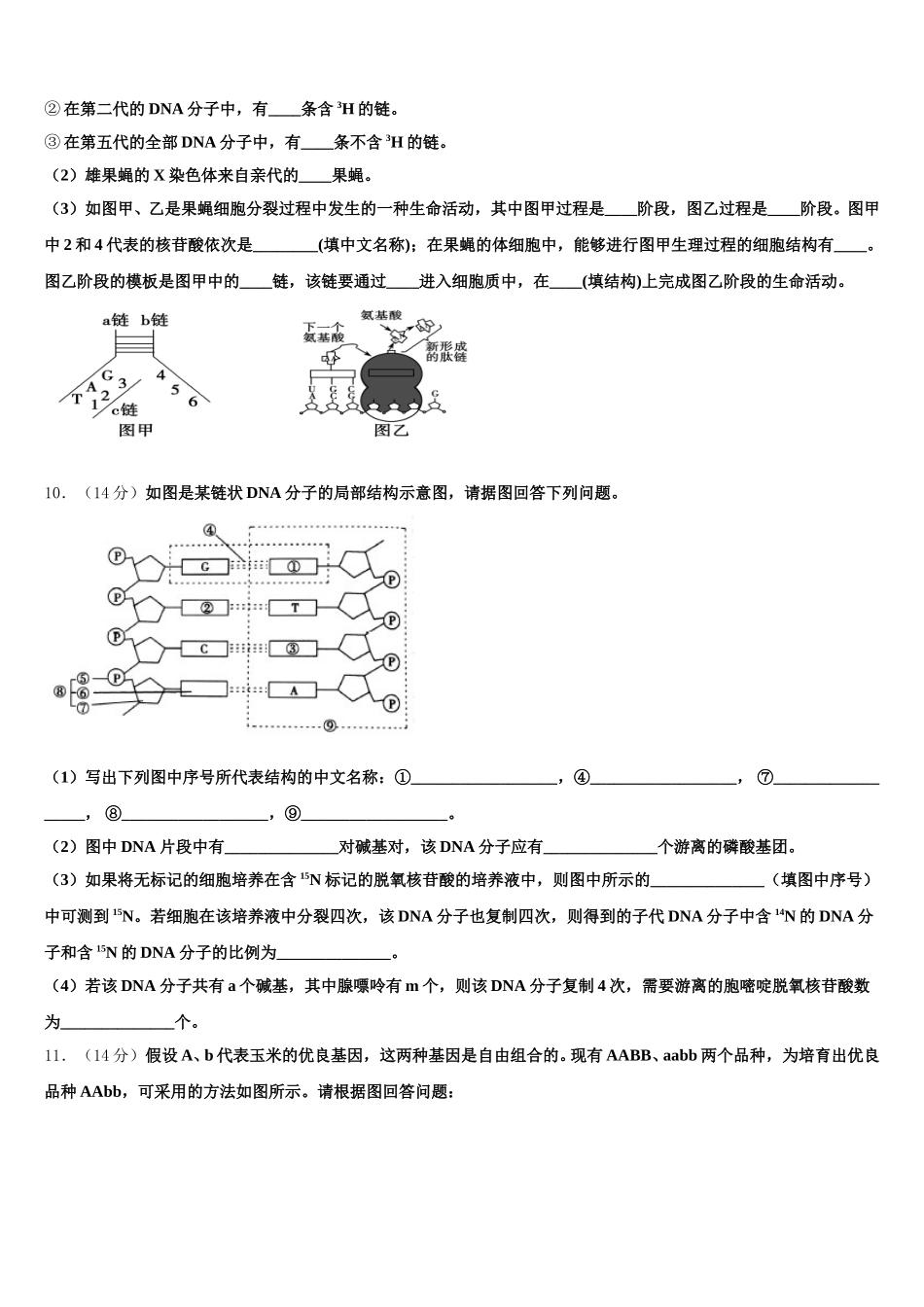 2025年江西省景德镇市景德镇一中生物高一第二学期期末质量检测模拟试题含解析_第3页