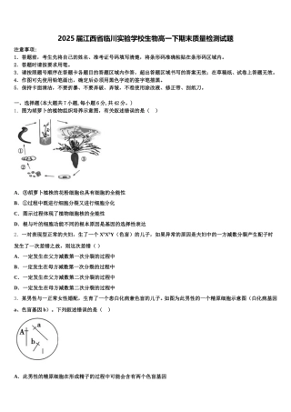2025届江西省临川实验学校生物高一下期末质量检测试题含解析