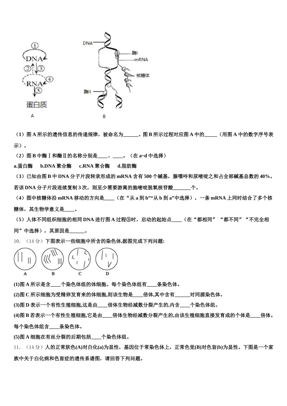 江西省丰城九中2025届高一下生物期末达标测试试题含解析_第3页