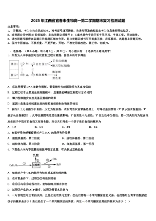 2025年江西省宜春市生物高一第二学期期末复习检测试题含解析