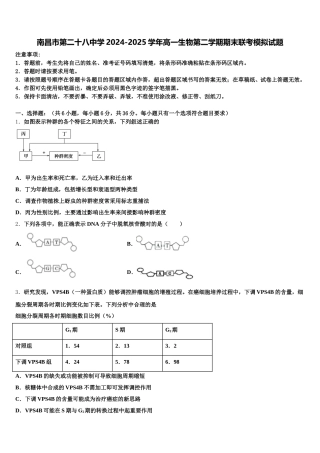 南昌市第二十八中学2024-2025学年高一生物第二学期期末联考模拟试题含解析