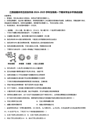 江西省赣州市五校协作体2024-2025学年生物高一下期末学业水平测试试题含解析