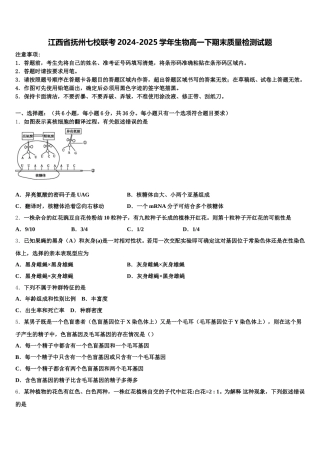 江西省抚州七校联考2024-2025学年生物高一下期末质量检测试题含解析