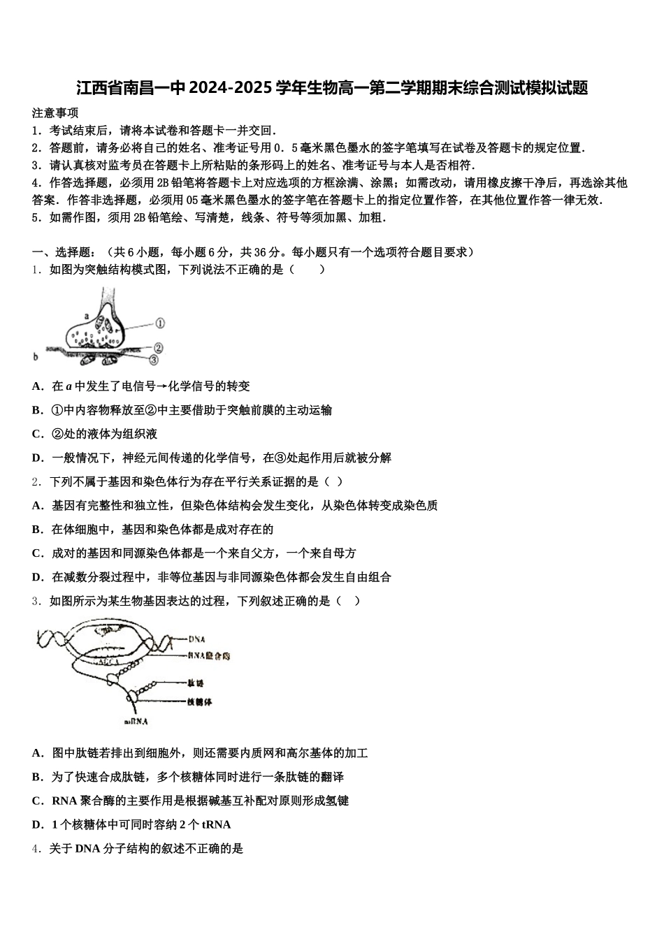 江西省南昌一中2024-2025学年生物高一第二学期期末综合测试模拟试题含解析_第1页