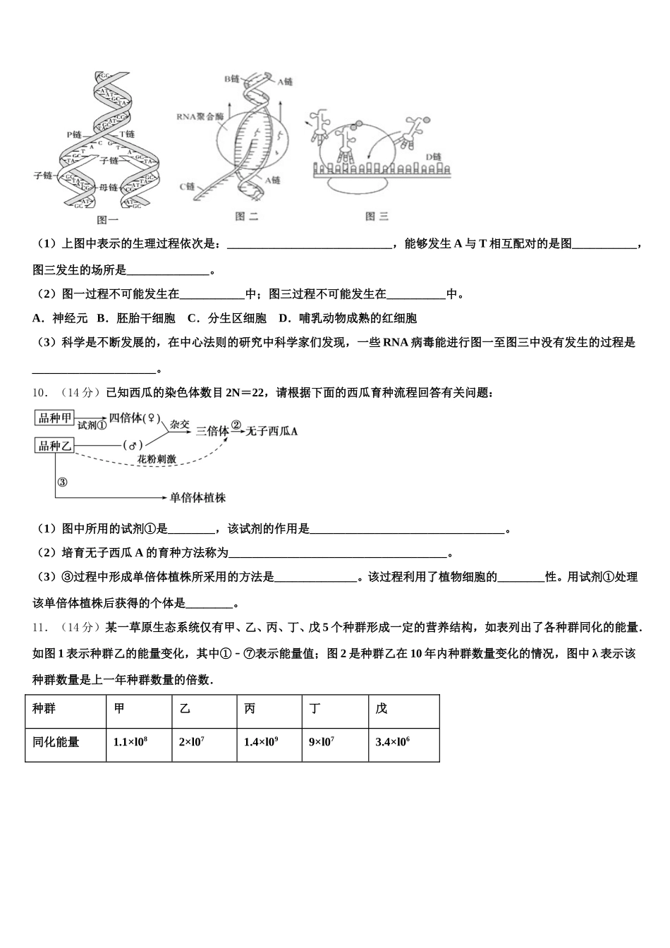 江西省南昌市八一中学、洪都中学等六校2025届生物高一第二学期期末调研试题含解析_第3页