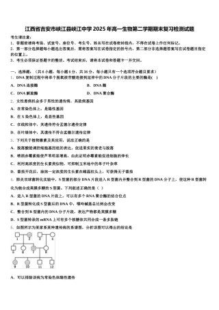 江西省吉安市峡江县峡江中学2025年高一生物第二学期期末复习检测试题含解析