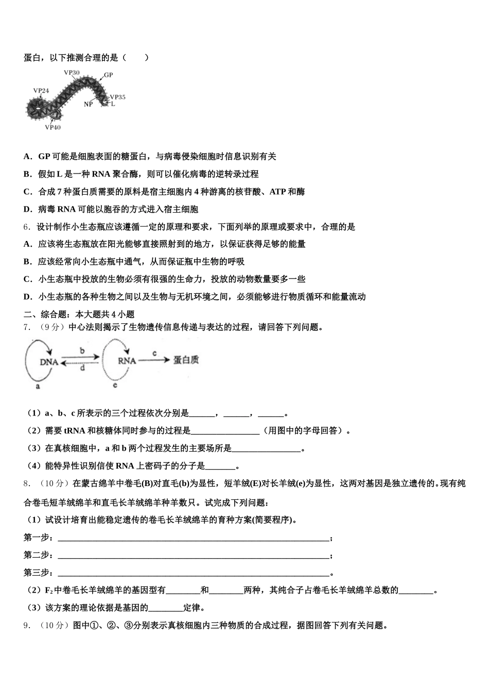 2025年江西新建二中生物高一第二学期期末学业水平测试模拟试题含解析_第2页