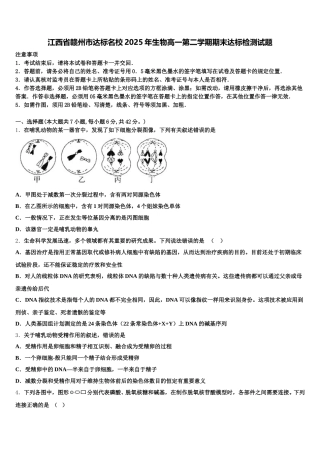 江西省赣州市达标名校2025年生物高一第二学期期末达标检测试题含解析