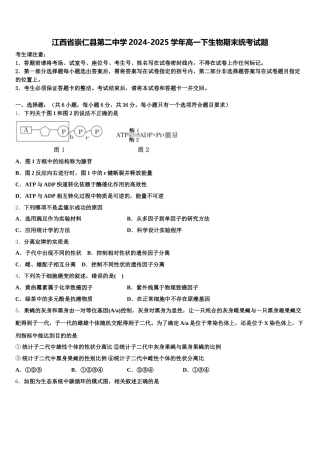 江西省崇仁县第二中学2024-2025学年高一下生物期末统考试题含解析