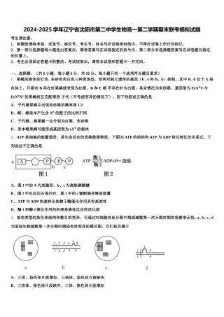 2024-2025学年辽宁省沈阳市第二中学生物高一第二学期期末联考模拟试题含解析