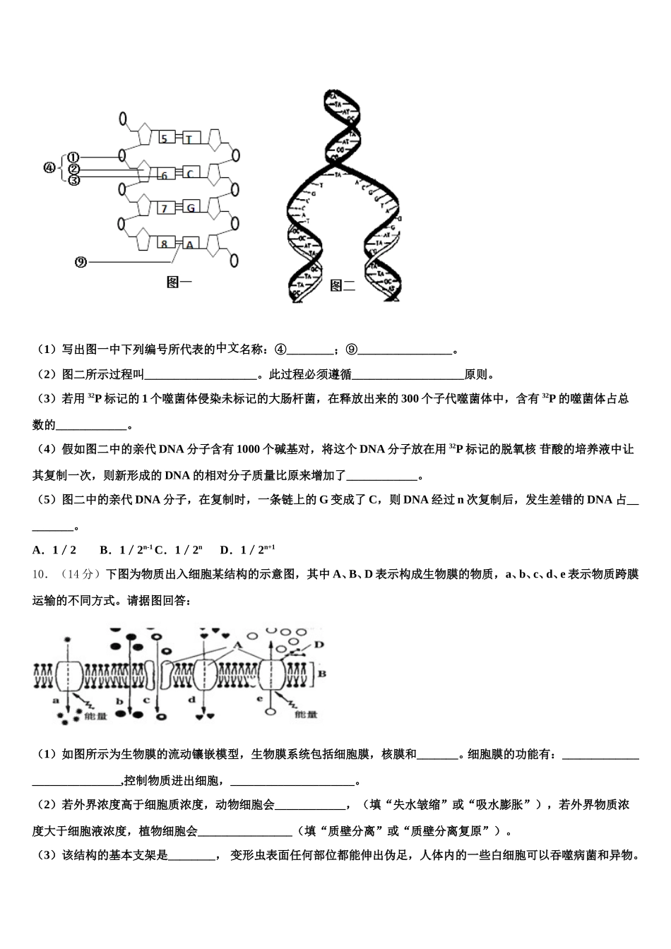 2025届辽宁省大连大世界高中生物高一第二学期期末监测试题含解析_第3页