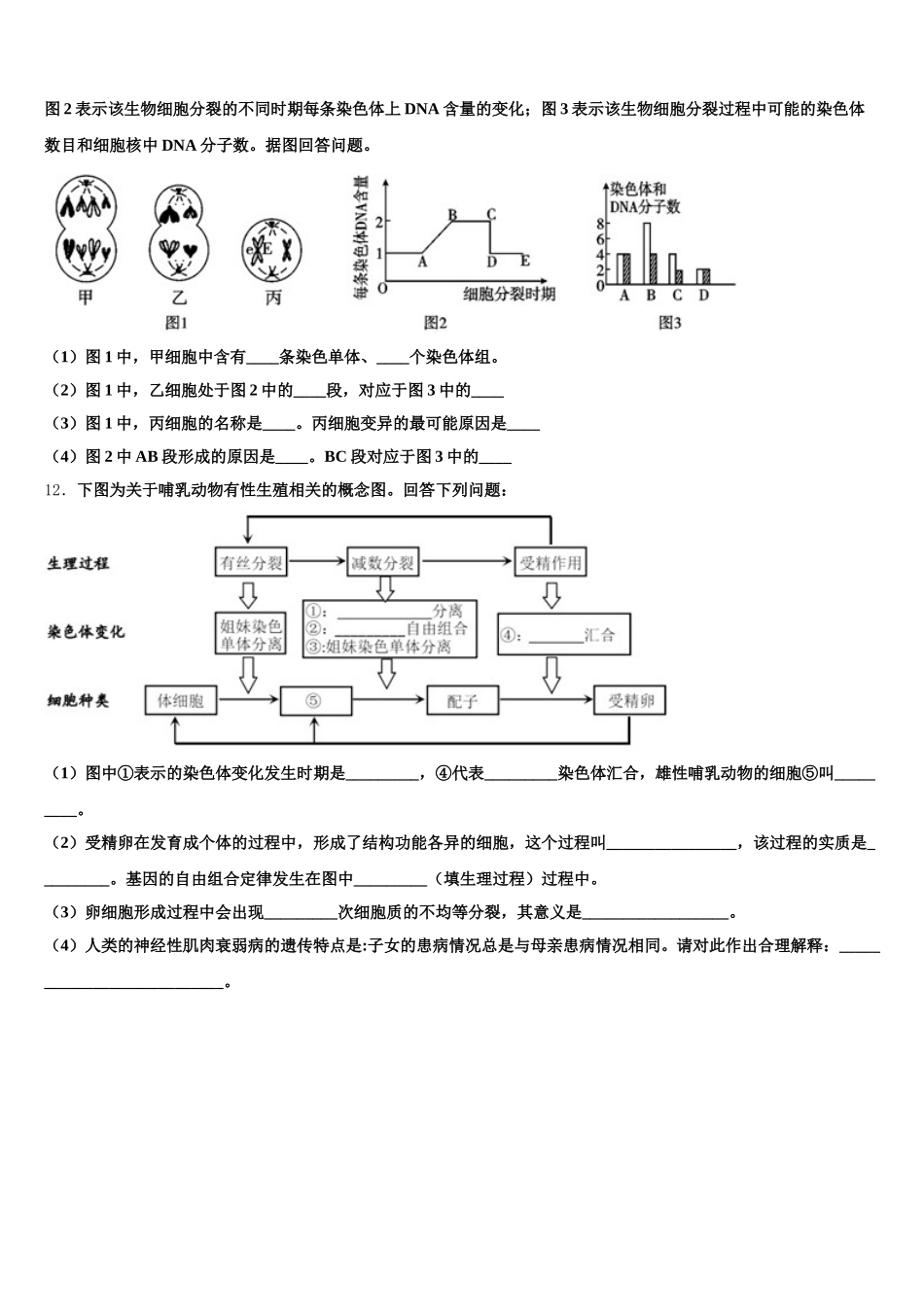 2025届辽宁师大附中高一生物第二学期期末学业水平测试试题含解析_第3页