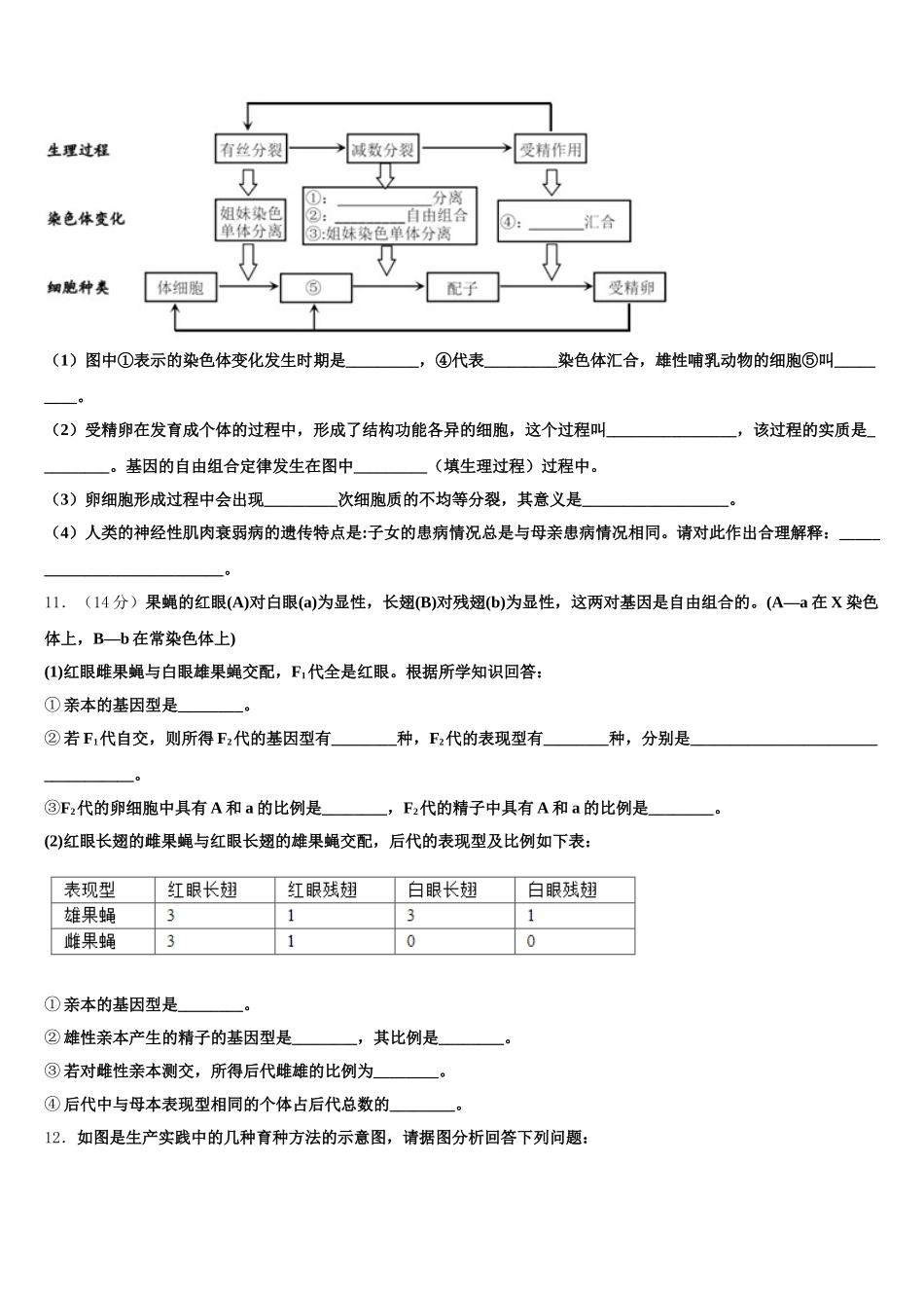 2025届辽宁省锦州市联合校生物高一下期末统考试题含解析_第3页